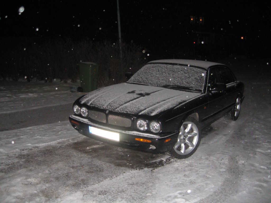 jag_090222-snowjaguar