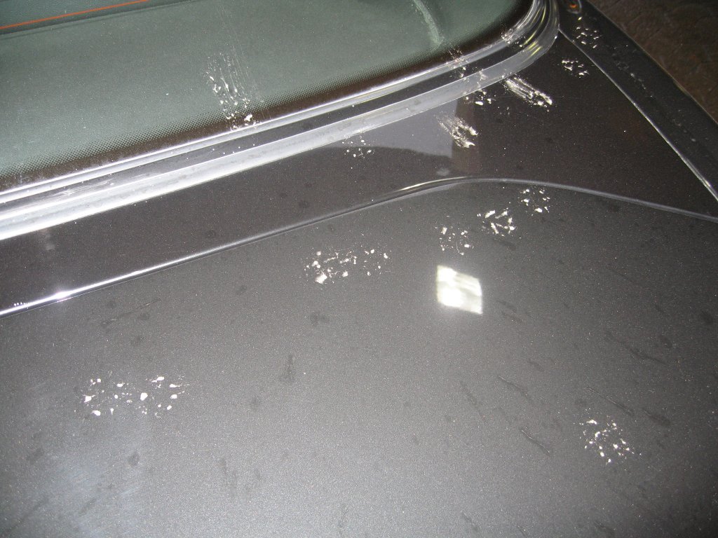jag_081108-footprints